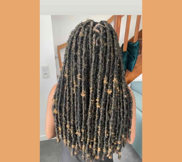 salon de coiffure afro tresse tresses box braids crochet braids vanilles tissages paris 75 77 78 91 92 93 94 95 BLWOPMTV