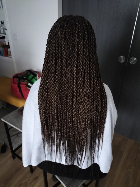 salon de coiffure afro tresse tresses box braids crochet braids vanilles tissages paris 75 77 78 91 92 93 94 95 KEJDSFZX