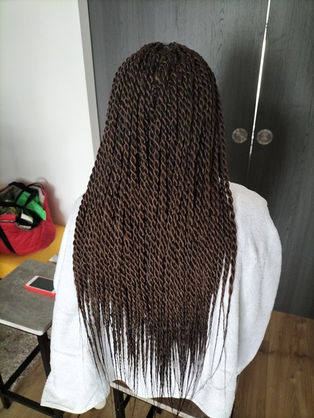 salon de coiffure afro tresse tresses box braids crochet braids vanilles tissages paris 75 77 78 91 92 93 94 95 HRXVMXTQ