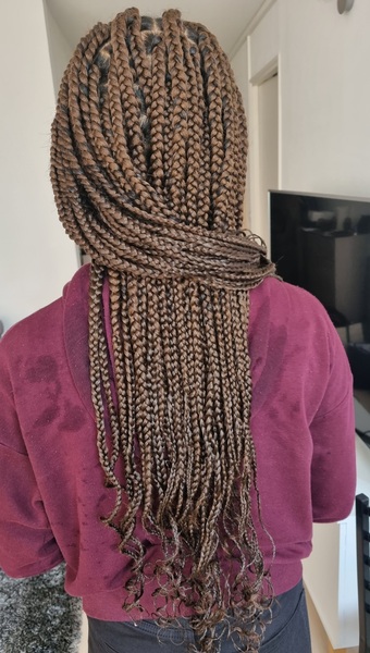 salon de coiffure afro tresse tresses box braids crochet braids vanilles tissages paris 75 77 78 91 92 93 94 95 BLLSJDFK