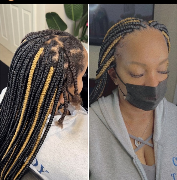 salon de coiffure afro tresse tresses box braids crochet braids vanilles tissages paris 75 77 78 91 92 93 94 95 YSDGBSLL