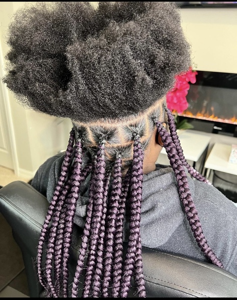 salon de coiffure afro tresse tresses box braids crochet braids vanilles tissages paris 75 77 78 91 92 93 94 95 ZAFSQXWG