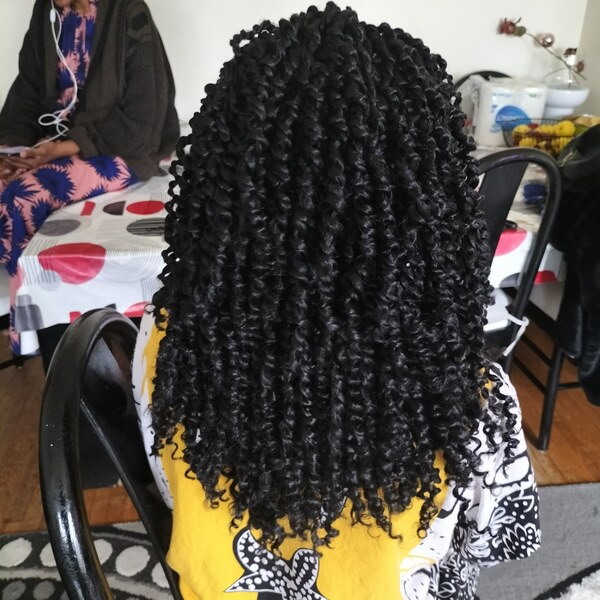salon de coiffure afro tresse tresses box braids crochet braids vanilles tissages paris 75 77 78 91 92 93 94 95 SYYFRFQK