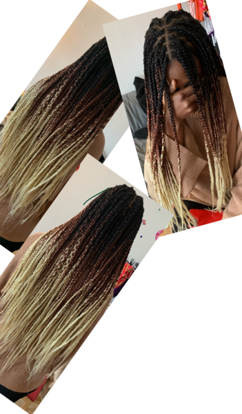 salon de coiffure afro tresse tresses box braids crochet braids vanilles tissages paris 75 77 78 91 92 93 94 95 ADCZMYJE
