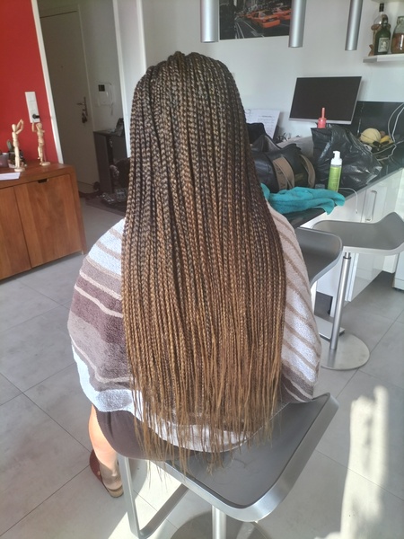 salon de coiffure afro tresse tresses box braids crochet braids vanilles tissages paris 75 77 78 91 92 93 94 95 ZOBKTNUA