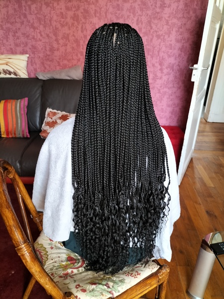 salon de coiffure afro tresse tresses box braids crochet braids vanilles tissages paris 75 77 78 91 92 93 94 95 ZKXZLCND
