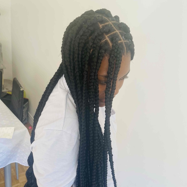 salon de coiffure afro tresse tresses box braids crochet braids vanilles tissages paris 75 77 78 91 92 93 94 95 CTAPIRBG