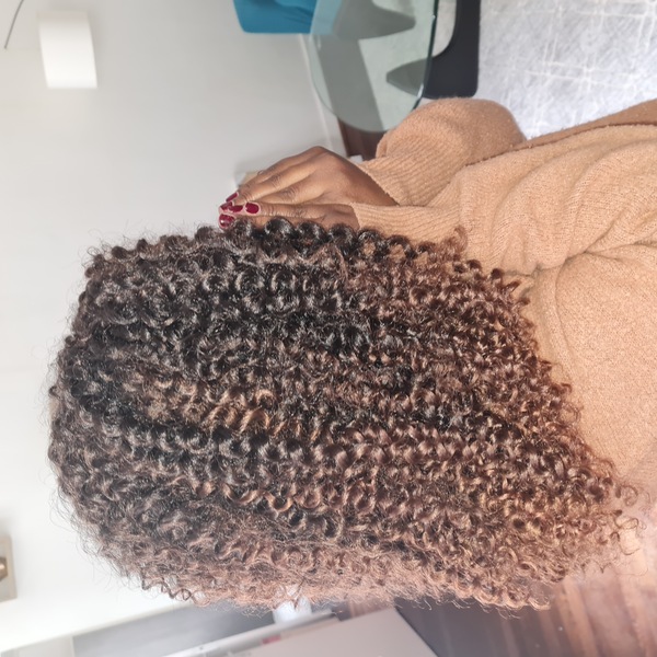 salon de coiffure afro tresse tresses box braids crochet braids vanilles tissages paris 75 77 78 91 92 93 94 95 TQYPDSAE
