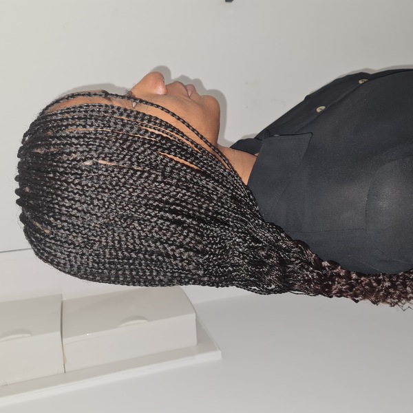 salon de coiffure afro tresse tresses box braids crochet braids vanilles tissages paris 75 77 78 91 92 93 94 95 RGIBBHTA