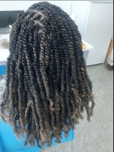 salon de coiffure afro tresse tresses box braids crochet braids vanilles tissages paris 75 77 78 91 92 93 94 95 WKEXZXSZ