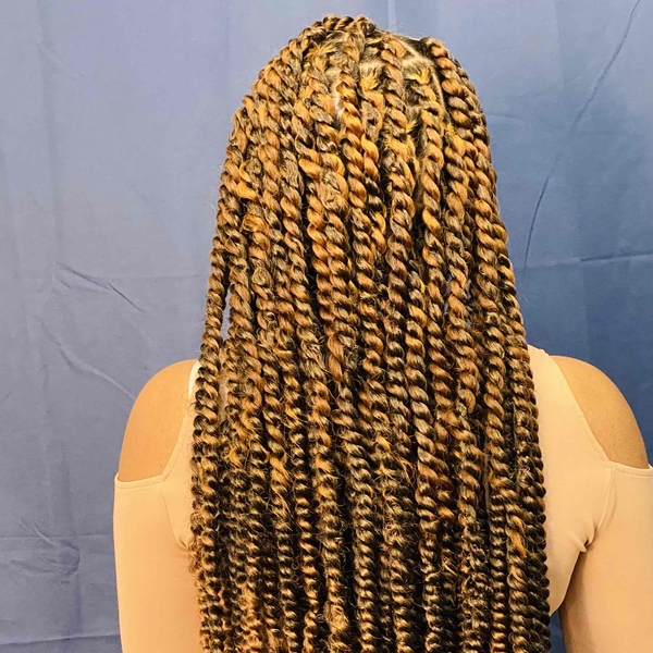 salon de coiffure afro tresse tresses box braids crochet braids vanilles tissages paris 75 77 78 91 92 93 94 95 CCTHSXAW