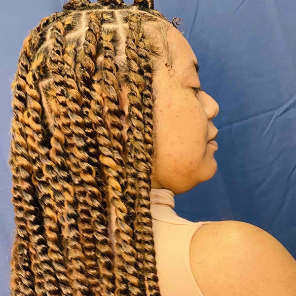 salon de coiffure afro tresse tresses box braids crochet braids vanilles tissages paris 75 77 78 91 92 93 94 95 CSKFDPIR
