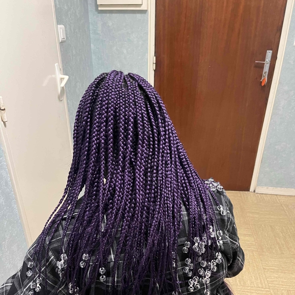 salon de coiffure afro tresse tresses box braids crochet braids vanilles tissages paris 75 77 78 91 92 93 94 95 EVUVATDS