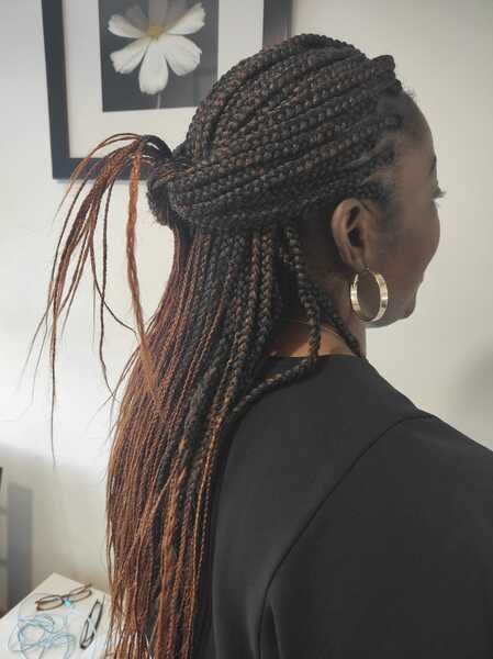 salon de coiffure afro tresse tresses box braids crochet braids vanilles tissages paris 75 77 78 91 92 93 94 95 CLAOICDG