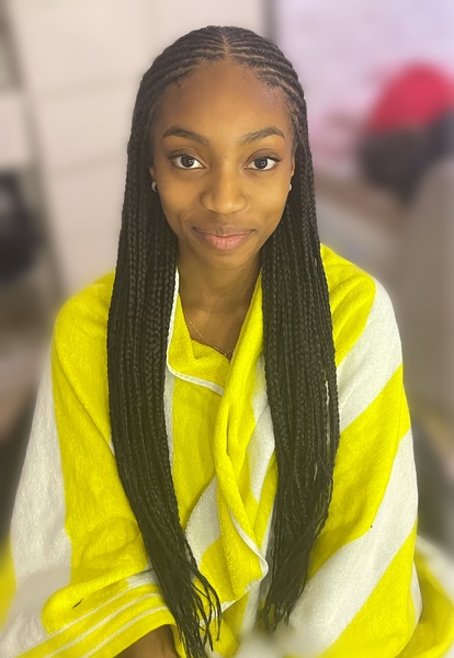 salon de coiffure afro tresse tresses box braids crochet braids vanilles tissages paris 75 77 78 91 92 93 94 95 ERCFDGFW