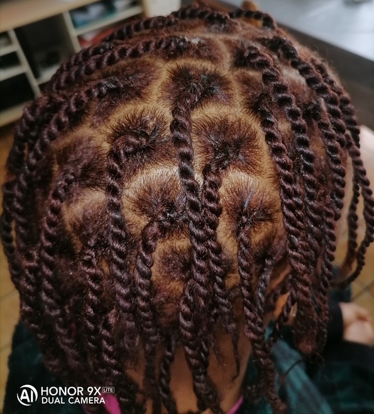 salon de coiffure afro tresse tresses box braids crochet braids vanilles tissages paris 75 77 78 91 92 93 94 95 BRORKHKR