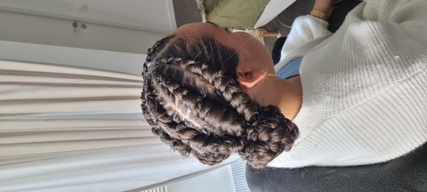 salon de coiffure afro tresse tresses box braids crochet braids vanilles tissages paris 75 77 78 91 92 93 94 95 LBXTBEKG