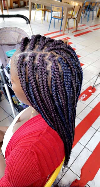 salon de coiffure afro tresse tresses box braids crochet braids vanilles tissages paris 75 77 78 91 92 93 94 95 HEFRFVNL