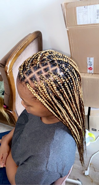salon de coiffure afro tresse tresses box braids crochet braids vanilles tissages paris 75 77 78 91 92 93 94 95 LVRORUXP