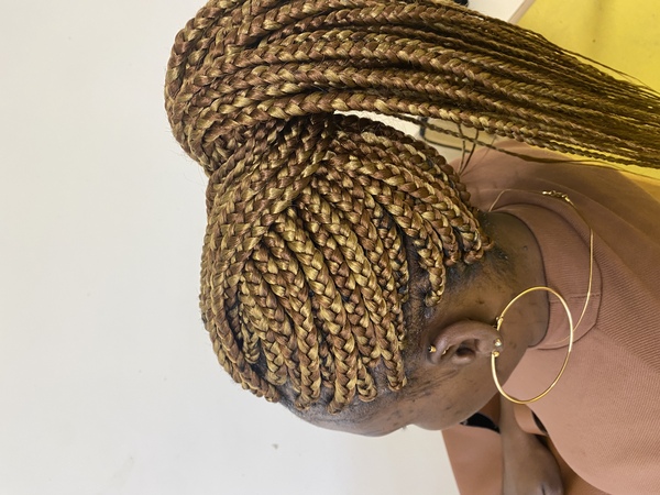 salon de coiffure afro tresse tresses box braids crochet braids vanilles tissages paris 75 77 78 91 92 93 94 95 YEBBFKAB