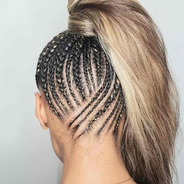 salon de coiffure afro tresse tresses box braids crochet braids vanilles tissages paris 75 77 78 91 92 93 94 95 BSBAODAK