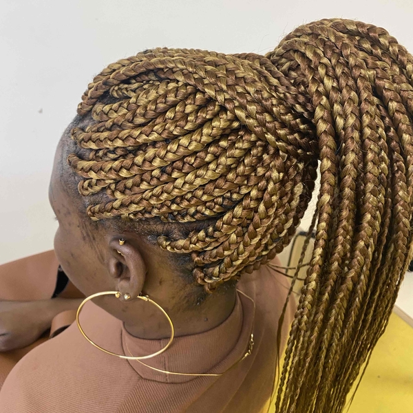 salon de coiffure afro tresse tresses box braids crochet braids vanilles tissages paris 75 77 78 91 92 93 94 95 NOQMZRAT
