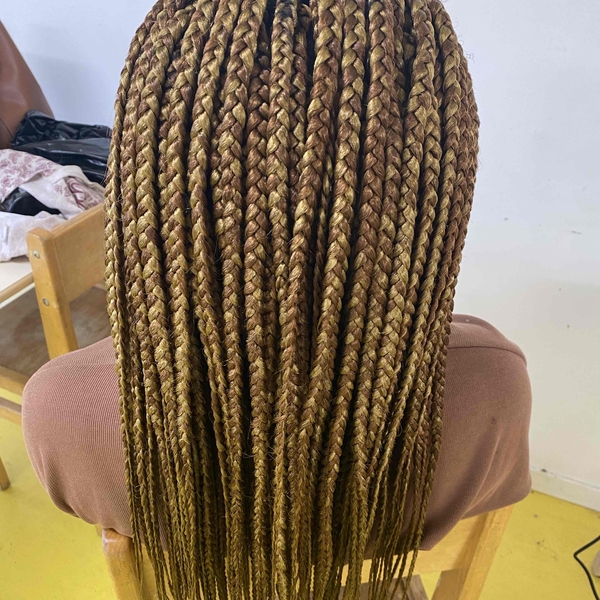 salon de coiffure afro tresse tresses box braids crochet braids vanilles tissages paris 75 77 78 91 92 93 94 95 RXRYBKZJ