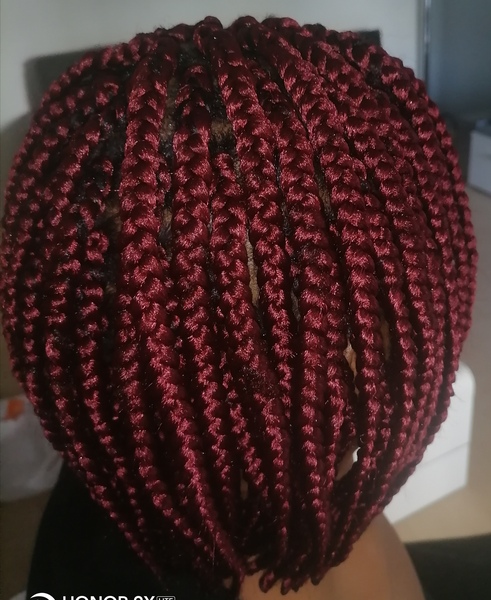 salon de coiffure afro tresse tresses box braids crochet braids vanilles tissages paris 75 77 78 91 92 93 94 95 NBFYYOHD