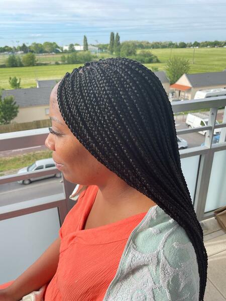 salon de coiffure afro tresse tresses box braids crochet braids vanilles tissages paris 75 77 78 91 92 93 94 95 HEZXKAWK
