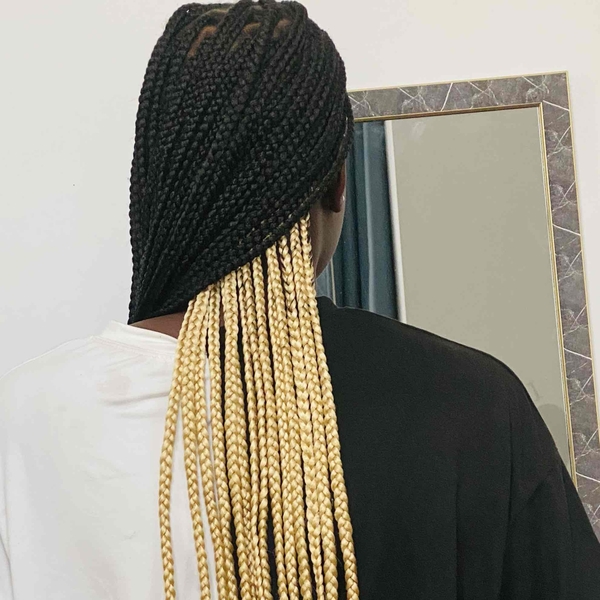 salon de coiffure afro tresse tresses box braids crochet braids vanilles tissages paris 75 77 78 91 92 93 94 95 MFHTLVRY