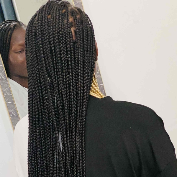 salon de coiffure afro tresse tresses box braids crochet braids vanilles tissages paris 75 77 78 91 92 93 94 95 HAZSHCJG