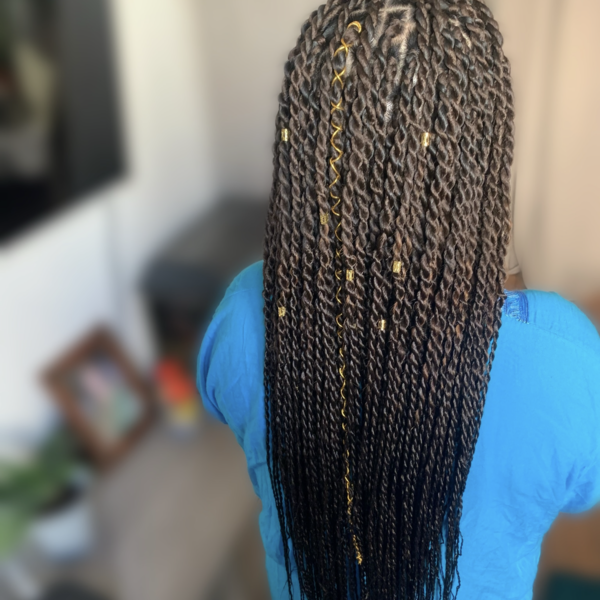 salon de coiffure afro tresse tresses box braids crochet braids vanilles tissages paris 75 77 78 91 92 93 94 95 FPXPPANR