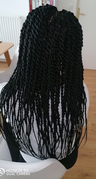 salon de coiffure afro tresse tresses box braids crochet braids vanilles tissages paris 75 77 78 91 92 93 94 95 QTSWDTKT