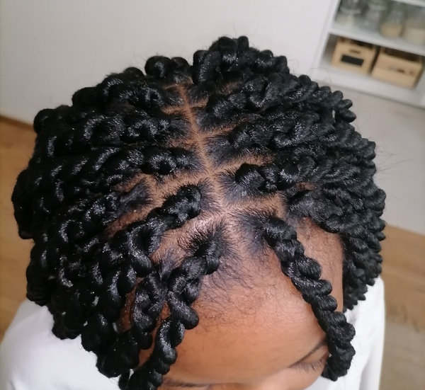 salon de coiffure afro tresse tresses box braids crochet braids vanilles tissages paris 75 77 78 91 92 93 94 95 MSLMWGSZ