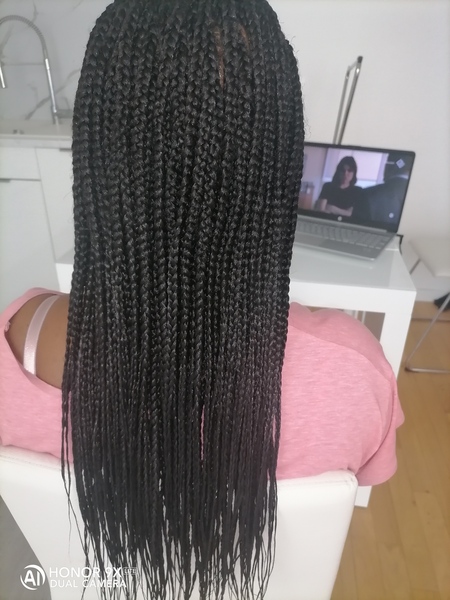 salon de coiffure afro tresse tresses box braids crochet braids vanilles tissages paris 75 77 78 91 92 93 94 95 UHZSOOCI