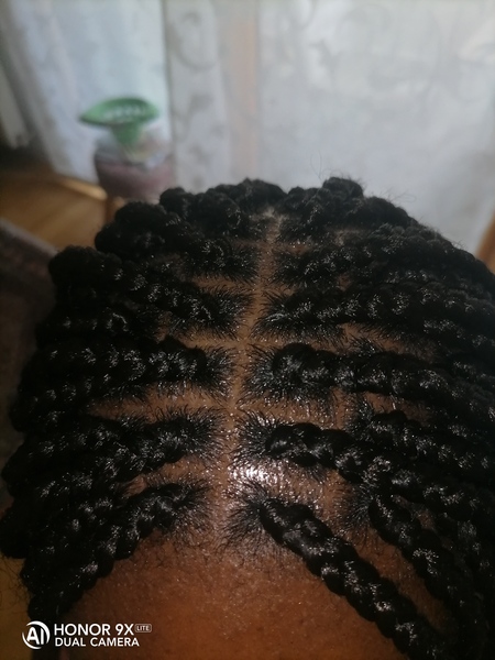 salon de coiffure afro tresse tresses box braids crochet braids vanilles tissages paris 75 77 78 91 92 93 94 95 AEPLLRIC