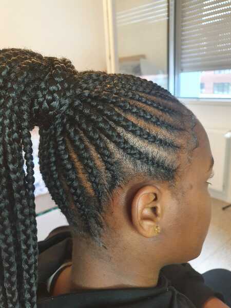 salon de coiffure afro tresse tresses box braids crochet braids vanilles tissages paris 75 77 78 91 92 93 94 95 TFBJZLJX