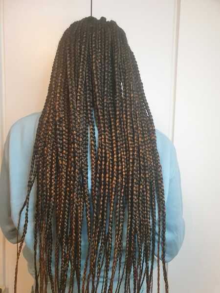 salon de coiffure afro tresse tresses box braids crochet braids vanilles tissages paris 75 77 78 91 92 93 94 95 EZQOGXAY