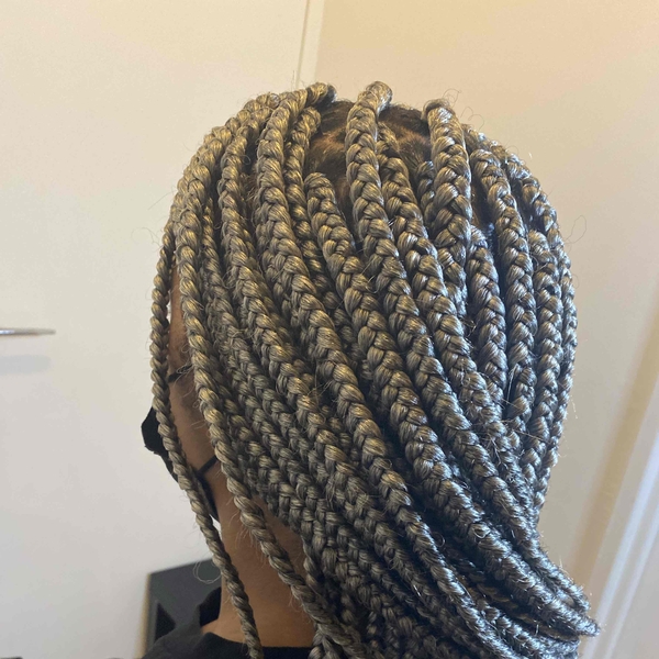 salon de coiffure afro tresse tresses box braids crochet braids vanilles tissages paris 75 77 78 91 92 93 94 95 WCEITBPR
