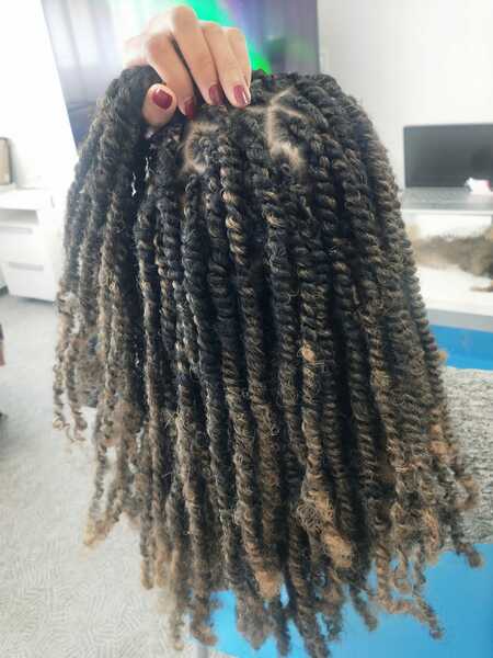 salon de coiffure afro tresse tresses box braids crochet braids vanilles tissages paris 75 77 78 91 92 93 94 95 WXXETYBT