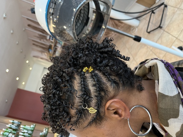 salon de coiffure afro tresse tresses box braids crochet braids vanilles tissages paris 75 77 78 91 92 93 94 95 NKTVZLVO