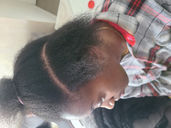 salon de coiffure afro tresse tresses box braids crochet braids vanilles tissages paris 75 77 78 91 92 93 94 95 WIFEHNTI