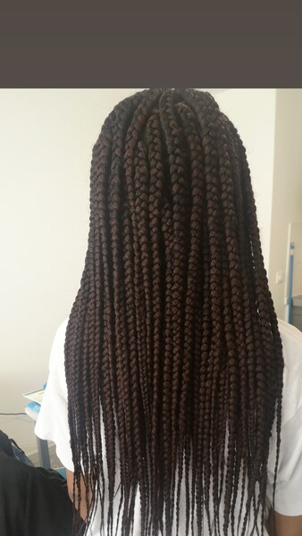salon de coiffure afro tresse tresses box braids crochet braids vanilles tissages paris 75 77 78 91 92 93 94 95 AEJGUQCU