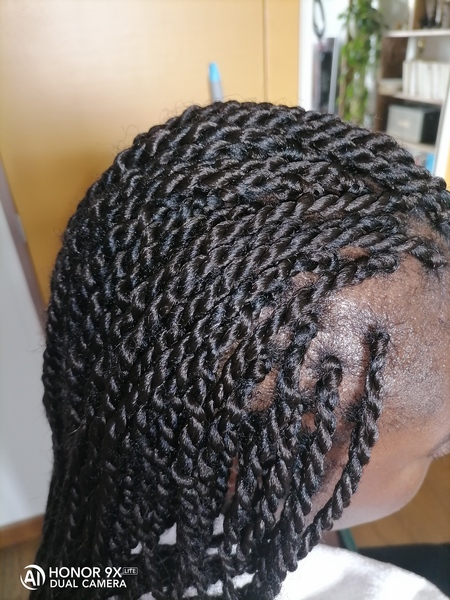 salon de coiffure afro tresse tresses box braids crochet braids vanilles tissages paris 75 77 78 91 92 93 94 95 PMVBDIIL