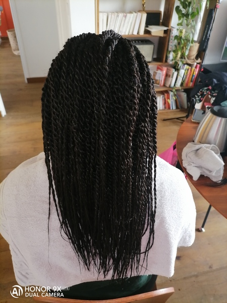 salon de coiffure afro tresse tresses box braids crochet braids vanilles tissages paris 75 77 78 91 92 93 94 95 EMMSXCCQ
