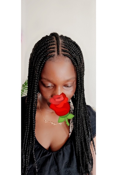 salon de coiffure afro tresse tresses box braids crochet braids vanilles tissages paris 75 77 78 91 92 93 94 95 PMVHXGBB