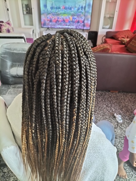 salon de coiffure afro tresse tresses box braids crochet braids vanilles tissages paris 75 77 78 91 92 93 94 95 EJAYJSUW