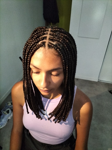 salon de coiffure afro tresse tresses box braids crochet braids vanilles tissages paris 75 77 78 91 92 93 94 95 JRTQTTSD