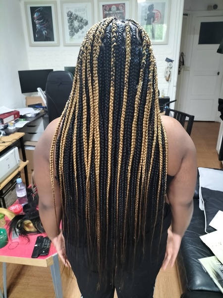 salon de coiffure afro tresse tresses box braids crochet braids vanilles tissages paris 75 77 78 91 92 93 94 95 LWCGPLGA