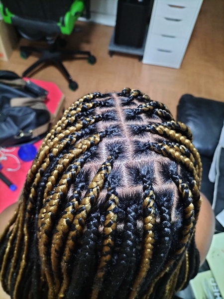 salon de coiffure afro tresse tresses box braids crochet braids vanilles tissages paris 75 77 78 91 92 93 94 95 MEFKERXV